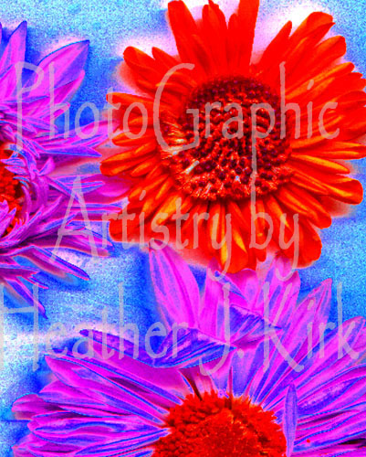 Red Digital Daisy